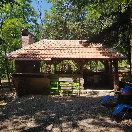 Villa Konaciste Mali Izvor Boljevac Exterior foto