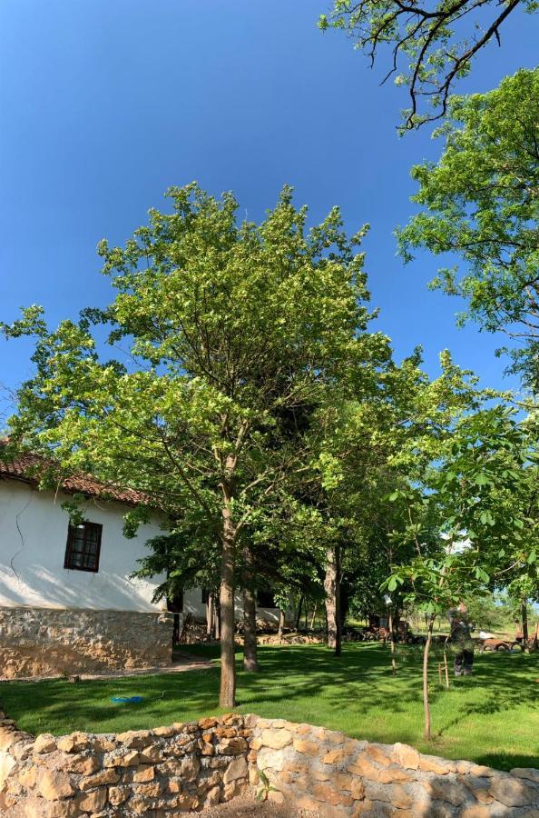 Villa Konaciste Mali Izvor Boljevac Exterior foto