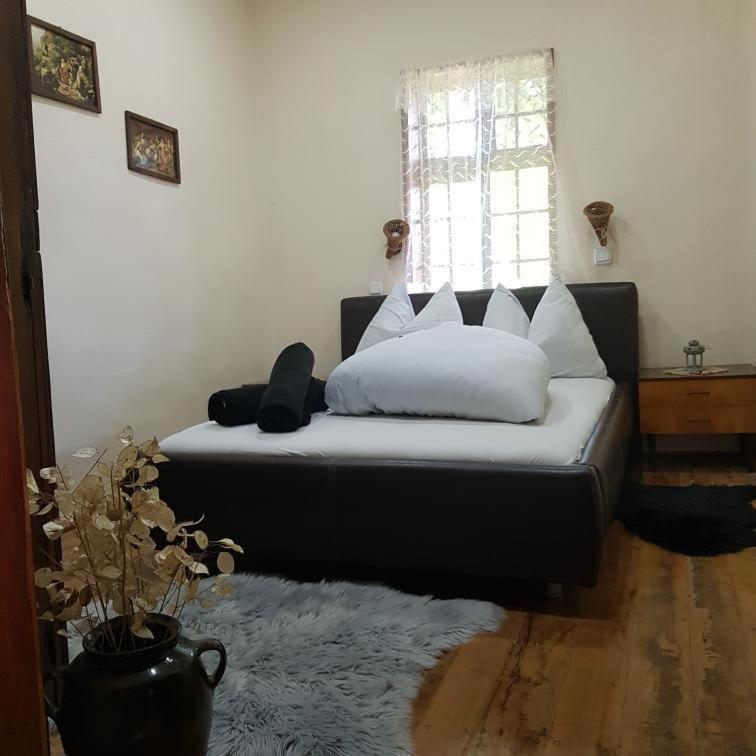 Villa Konaciste Mali Izvor Boljevac Exterior foto