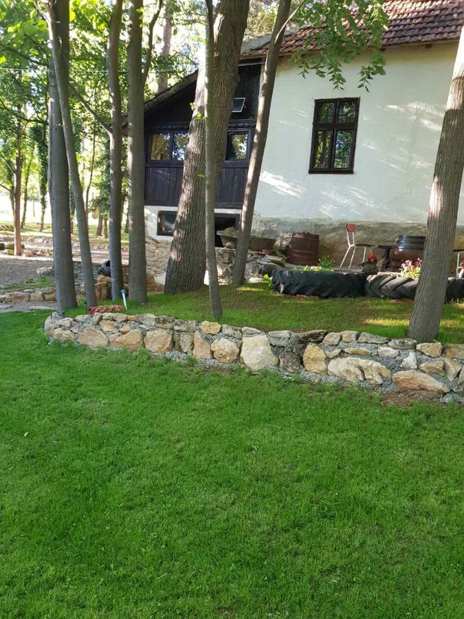 Villa Konaciste Mali Izvor Boljevac Exterior foto