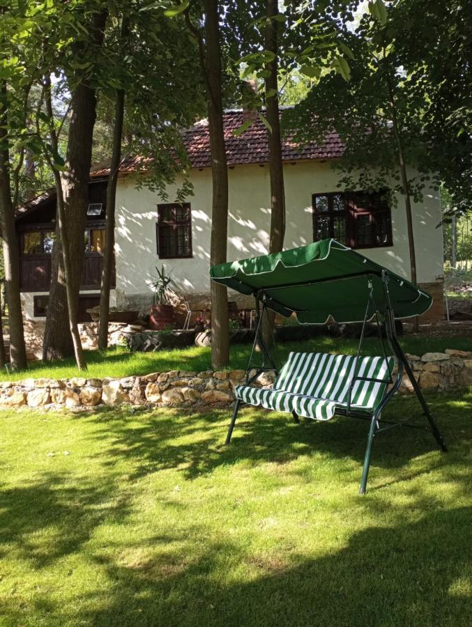 Villa Konaciste Mali Izvor Boljevac Exterior foto