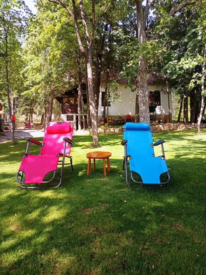Villa Konaciste Mali Izvor Boljevac Exterior foto
