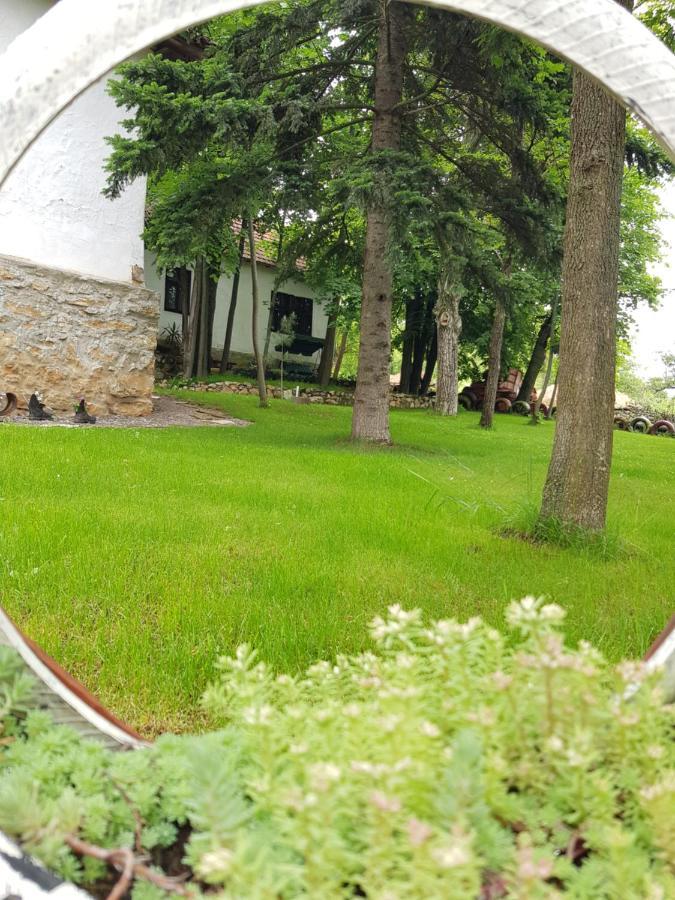 Villa Konaciste Mali Izvor Boljevac Exterior foto