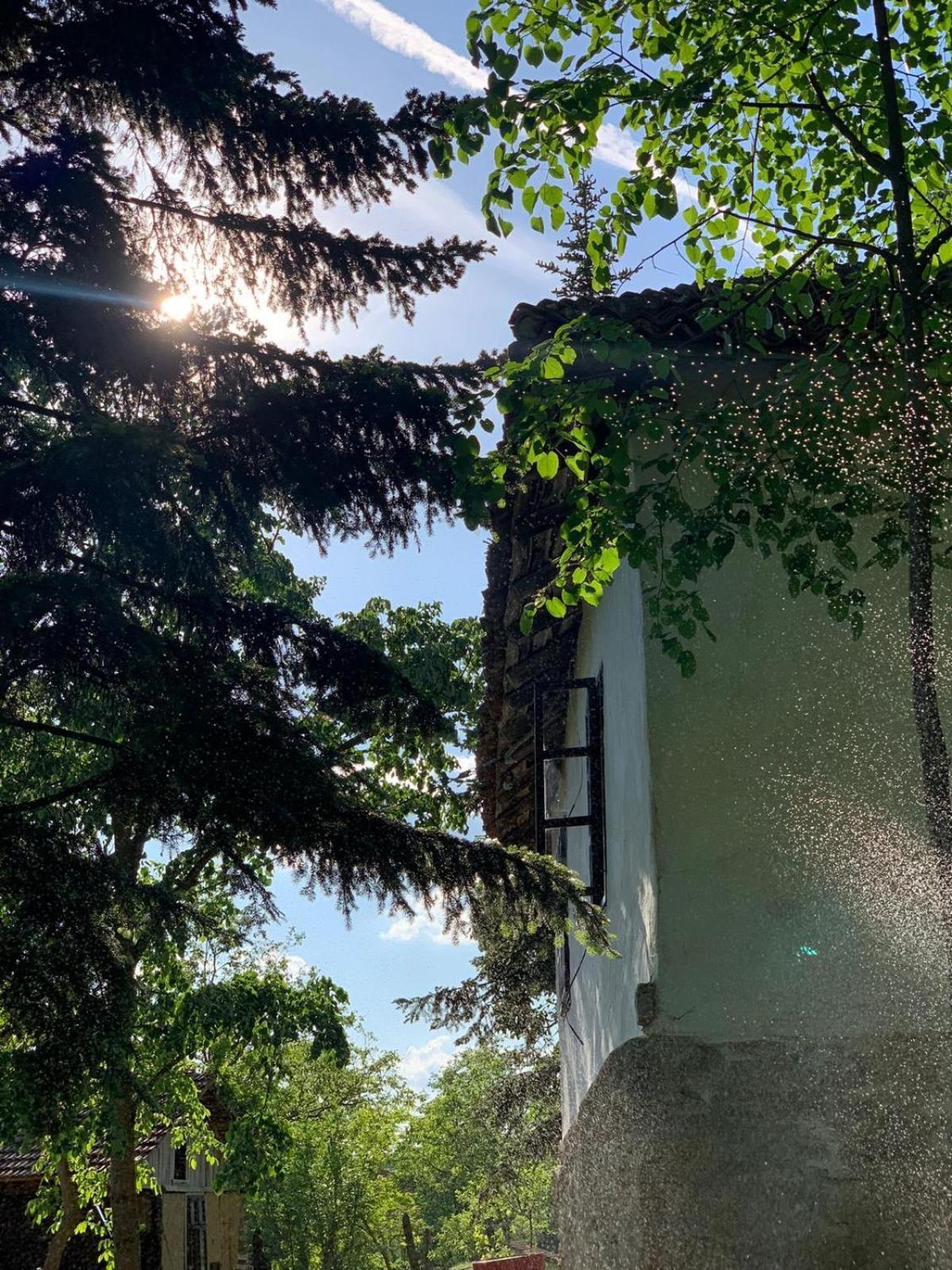 Villa Konaciste Mali Izvor Boljevac Exterior foto